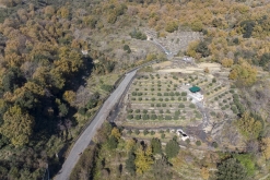 Catania - Výstup pod Etnu