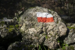 Catania - Výstup pod Etnu