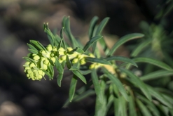 Catania - Výstup pod Etnu