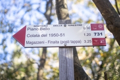 Catania - Výstup pod Etnu