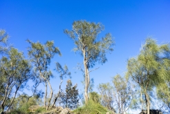 Catania - Výstup pod Etnu