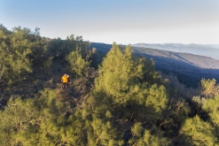 Catania - Výstup pod Etnu