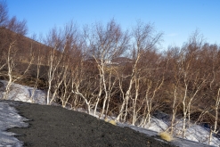 Catania - Výstup pod Etnu