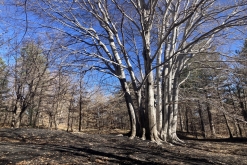 Catania - Výstup pod Etnu