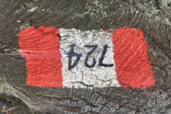 Catania - Výstup pod Etnu