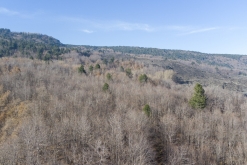 Catania - Výstup pod Etnu