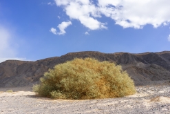 Wadi Belly, El Gouna, Hurghada