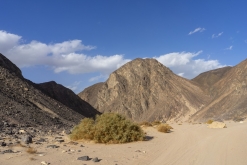 Wadi Belly, El Gouna, Hurghada