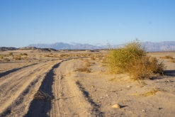 Wadi Belly, El Gouna, Hurghada