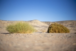 Wadi Belly, El Gouna, Hurghada