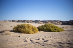 Wadi Belly, El Gouna, Hurghada