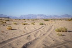 Wadi Belly, El Gouna, Hurghada
