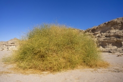 Wadi Belly, El Gouna, Hurghada