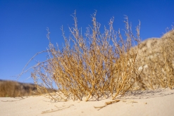 Wadi Belly, El Gouna, Hurghada