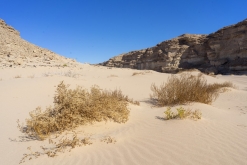 Wadi Belly, El Gouna, Hurghada