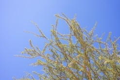 Wadi Belly, El Gouna, Hurghada