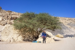 Wadi Belly, El Gouna, Hurghada