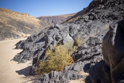 Wadi Belly, El Gouna, Hurghada