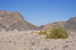 Wadi Belly, El Gouna, Hurghada