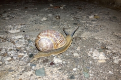 Kukës - Prodloužený víkend v Albánii (září 2022)