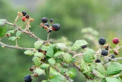 Kukës - Prodloužený víkend v Albánii (září 2022)