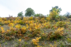 Kukës - Prodloužený víkend v Albánii (září 2022)