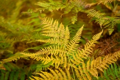 Kukës - Prodloužený víkend v Albánii (září 2022)