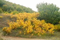 Kukës - Prodloužený víkend v Albánii (září 2022)