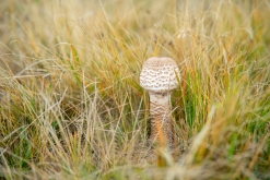 Kukës - Prodloužený víkend v Albánii (září 2022)
