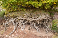 Kukës - Prodloužený víkend v Albánii (září 2022)