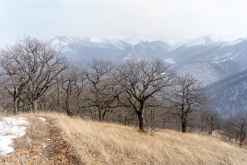 Dilijan národní park - Týden po Arménii (březen 2023)