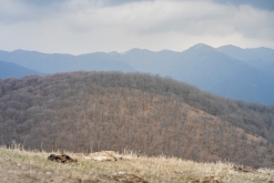 Spitak Yeghtsi - Chermakavan, Dilijan národní park - Týden po Arménii (březen 2023)