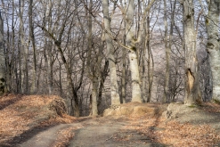 Dilijan národní park - Týden po Arménii (březen 2023)