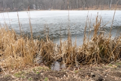 Gosh jezero, Dilijan národní park - Týden po Arménii (březen 2023)