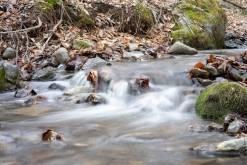 Dilijan, Dilijan národní park - Týden po Arménii (březen 2023)
