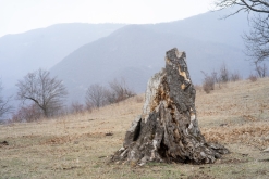 Dilijan, Dilijan národní park - Týden po Arménii (březen 2023)