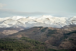 Dilijan, Dilijan národní park - Týden po Arménii (březen 2023)