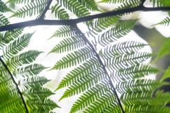 z letiště Funchal na nejvyšší vrchol Madeiry (Pico Ruivo)