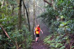 z letiště Funchal na nejvyšší vrchol Madeiry (Pico Ruivo)