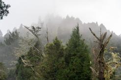 z letiště Funchal na nejvyšší vrchol Madeiry (Pico Ruivo)