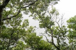 z letiště Funchal na nejvyšší vrchol Madeiry (Pico Ruivo)