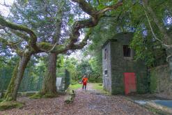 z letiště Funchal na nejvyšší vrchol Madeiry (Pico Ruivo)