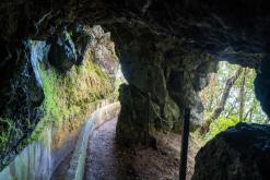 z letiště Funchal na nejvyšší vrchol Madeiry (Pico Ruivo)