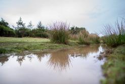 z letiště Funchal na nejvyšší vrchol Madeiry (Pico Ruivo)