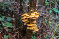 z letiště Funchal na nejvyšší vrchol Madeiry (Pico Ruivo)