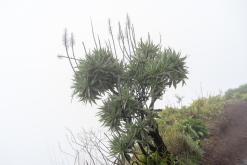 z letiště Funchal na nejvyšší vrchol Madeiry (Pico Ruivo)