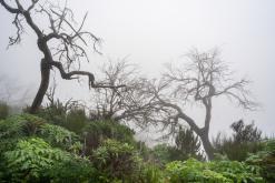 z letiště Funchal na nejvyšší vrchol Madeiry (Pico Ruivo)