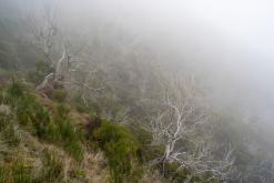 z letiště Funchal na nejvyšší vrchol Madeiry (Pico Ruivo)