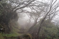 pěšky z nejvyššího vrcholu Madeiry (Pico Ruivo) na západ ostrova do Porto Moniz