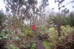 pěšky z nejvyššího vrcholu Madeiry (Pico Ruivo) na západ ostrova do Porto Moniz